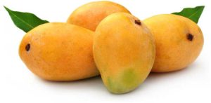 kesar-mango 01